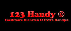 123handy-D-DGM