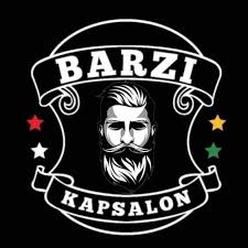 Barzi-logo-2024